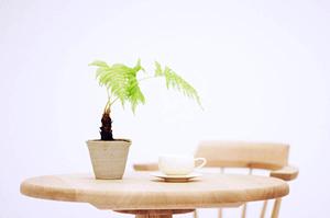 ガラスの修理交換を行っている会社です