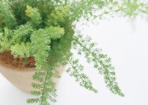 愛知で行っている内装工事について