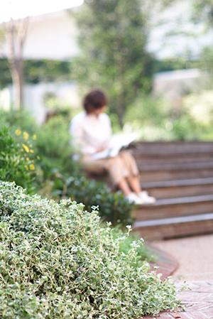 2025年最新！富山の造園サービスで理想の庭づくりを実現する最適ガイド